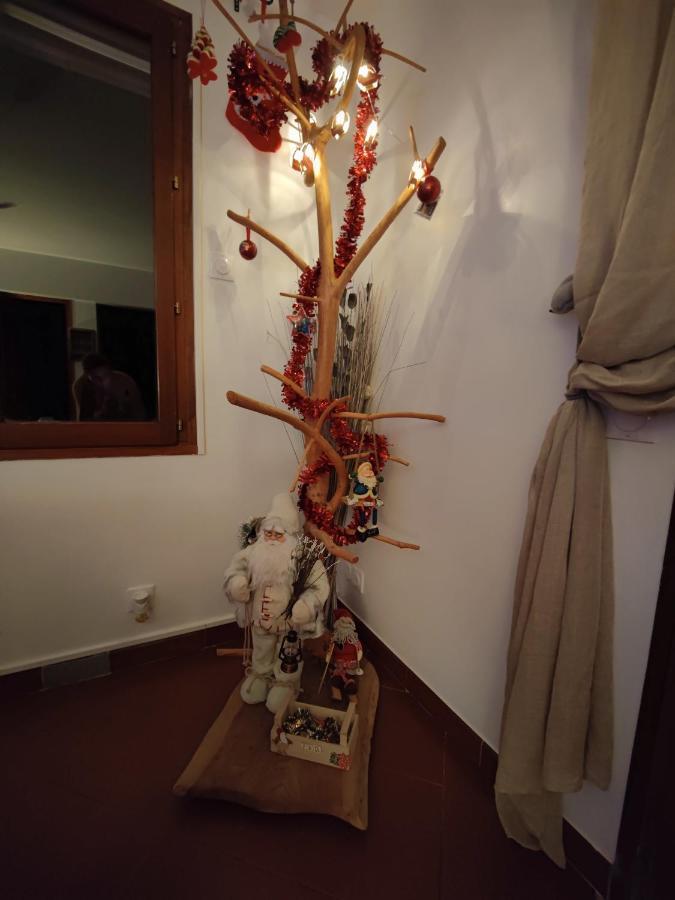 Appartement Location Marjori - T3 Le Kakariki