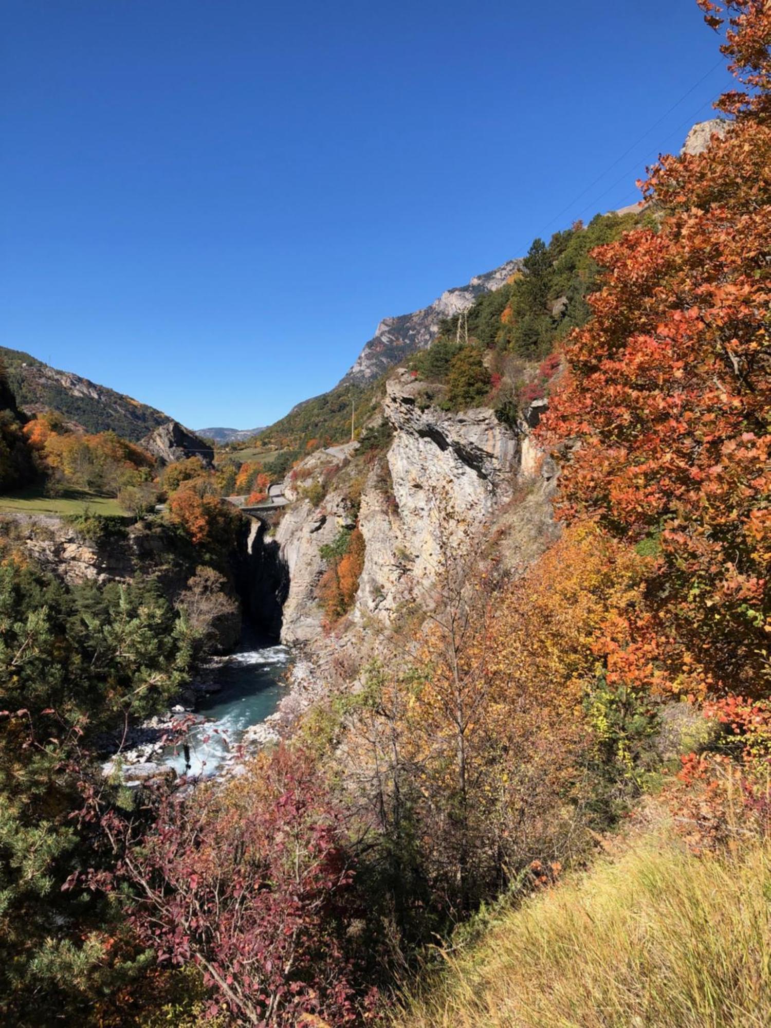 Location Marjori - T3 Le Kakariki