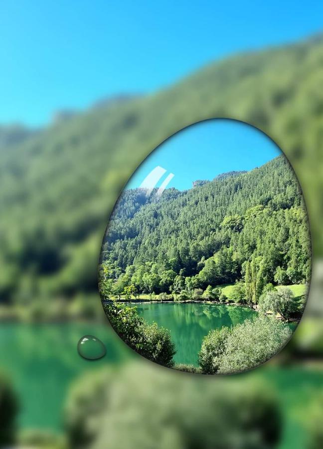Location Marjori - T3 Le Kakariki *